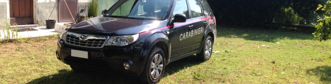 The Boys in Blue&nbsp;Arrive.