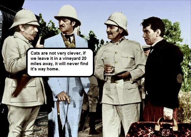 le-tour-du-monde-en-80-jour