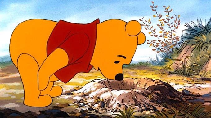 f7750bb9-9765-4065-ba5c-d5c2ce41d25b-2739-000002cb078de1c8