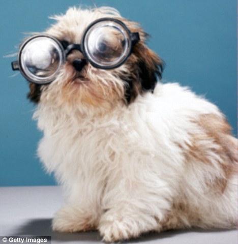 4554D708-83B7-404F-AA77-8B2A0948EF24-431-00000013A0E361F8