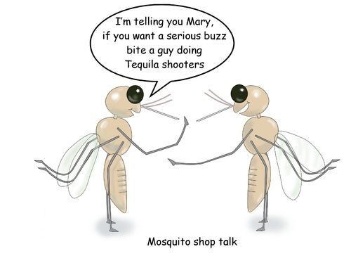 891ea95cda44f6590dd1ab0528bd3177--bug-mosquitoes