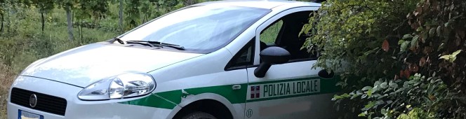 The incident of the police car in the&nbsp;bush.