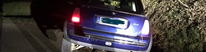 For the love of&nbsp;Mildred